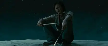 The Warrior's Way (2010)
