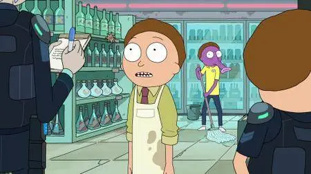 Rick and Morty S03E07