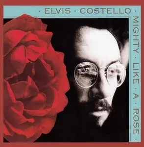 Elvis Costello - Original Album Series 1989-1996 [5CD BoxSet] (2012) {Warner Bros.}