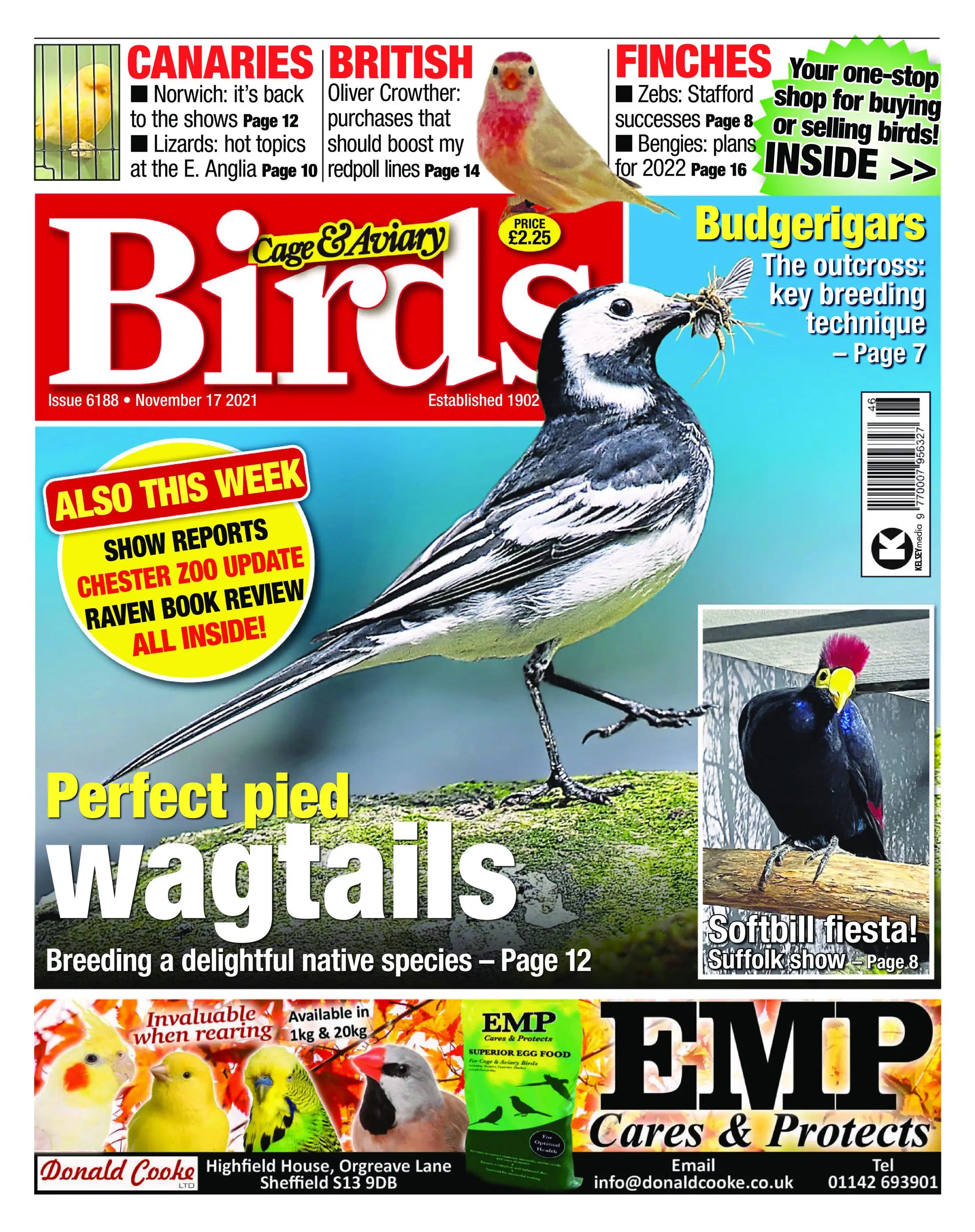 Cage & Aviary Birds – 17 November 2021