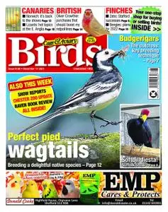 Cage & Aviary Birds – 17 November 2021