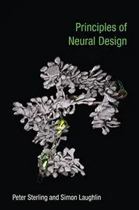 Principles of Neural Design (Repost)