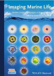 Imaging Marine Life: Macrophotography and Microscopy Approaches for Marine Biology [Repost]