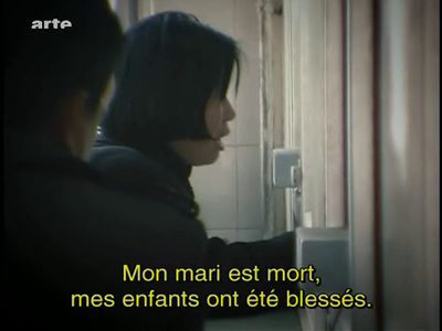 (Arte) Pétition : La cour des plaignants (2009)