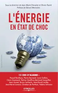 Collectif, "L'énergie en état de choc: 12 cris d'alarme" (repost)