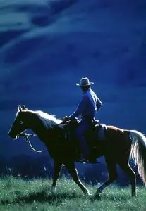L'homme qui murmurait a l'oreille des chevaux  (1998) 