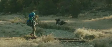 Wild / Дикая (2014)