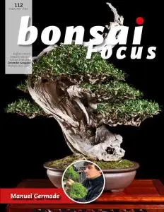 Bonsai Focus (German Edition) - November-Dezember 2021