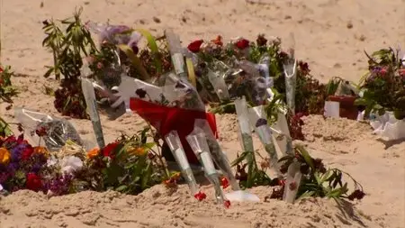 BBC - Panorama: Terror on the Beach (2015)