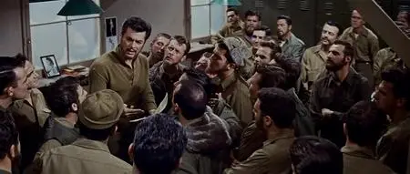 The Perfect Furlough (1958)