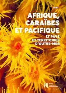 «Activité de la BEI en Afrique, dans les Caraïbes et dans le Pacifique ainsi que dans les pays et territoires d'outre-me