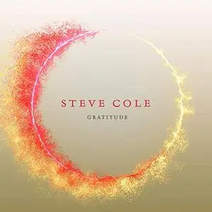 Steve Cole - Gratitude (2019) [Official Digital Download]