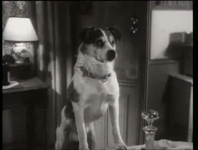 L'impossible Monsieur Pipelet (1955)