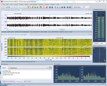 Acon Digital Media Acoustica Premium 5.0.0 Build 43 Portable