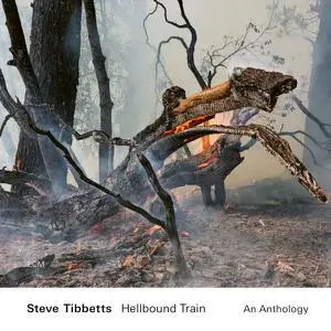 Steve Tibbetts - Hellbound Train: An Anthology (2022 Remaster) (2022)