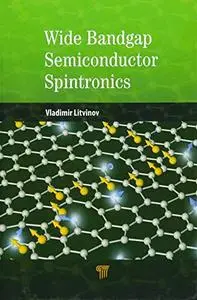 Wide Bandgap Semiconductor Spintronics [Repost]