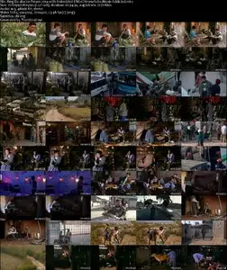 Bing Du / Ice Poison (2014)