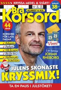 Bra Korsord – 13 november 2018