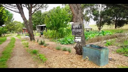Down to Earth with Zac Efron S02E02