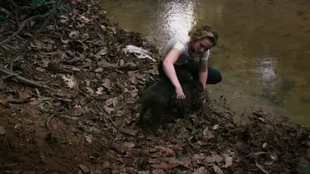 Wildcat (2022)