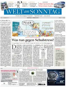 Die Welt am Sonntag 24 Februar2013