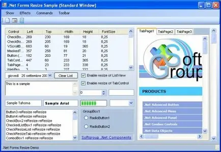 Softgroup NET Forms Resize 3.5.3331