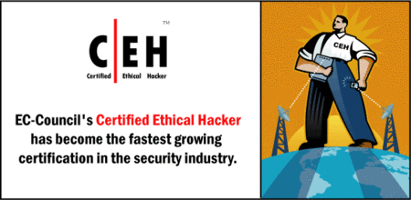 Certified Ethical Hacker Certification Training Videos (9 CDs)