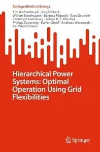 Hierarchical Power Systems: Optimal Operation Using Grid Flexibilities