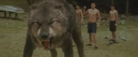 The Twilight Saga: New Moon / Сумерки. Сага. Новолуние (2009)