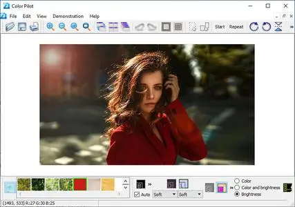 Color Pilot 5.6.0 Multilingual Portable