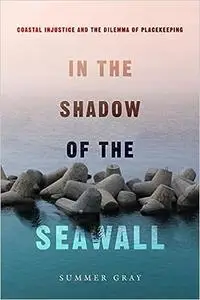 In the Shadow of the Seawall: Coastal Injustice and the Dilemma of Placekeeping