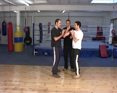 Alan Gibson - Beginning Wing Chun [repost]