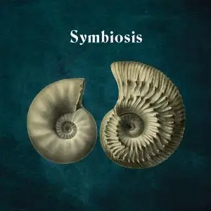 Hydrogen Sea - Symbiosis (2021) [Official Digital Download 24/96]