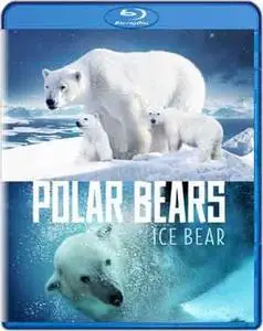 Polar Bears: Ice Bear (2013)