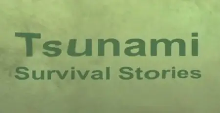 ITV - Tsunami: Survivors' Stories (2014)