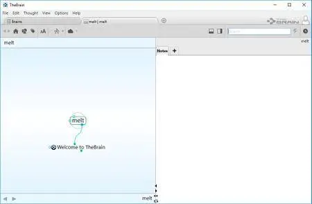TheBrain Pro 9.0.205.0 Beta