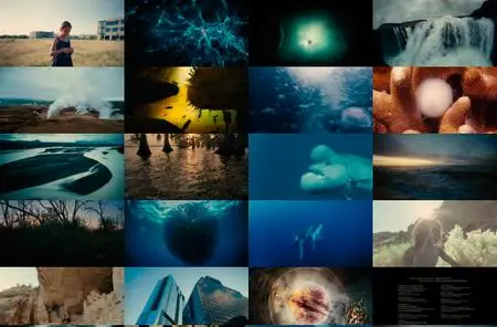 Voyage of Time: The IMAX Experience (2016)