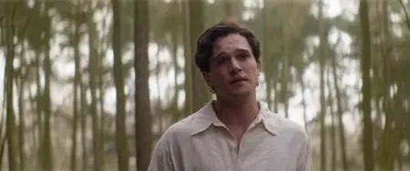 Testament of Youth (2014)
