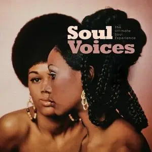 VA - Soul Voices The Ultimate Soul Experience (2023)