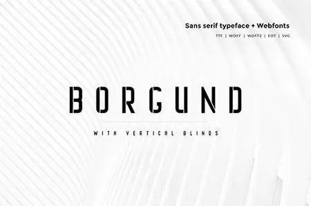 Borgund Blinds - Modern Typeface + WebFont