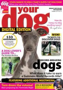 Your Dog - October 2019