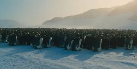 March of the Penguins (2005)
