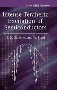 Intense Terahertz Excitation of Semiconductors (Series on Semiconductor Science and Technology)