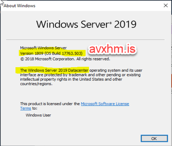 Windows Server 2019 DataCenter ESD 1809 Build 17763.503 May 2019