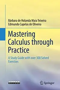 Mastering Calculus through Practice: A Study Guide with over 300 Solved Exercises