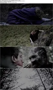 Viking: The Berserkers (2014)
