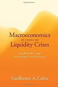 Macroeconomics in Times of Liquidity Crises: Searching for Economic Essentials