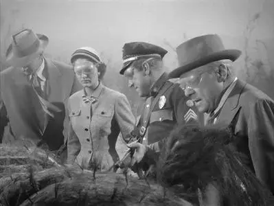 Mysterie in tunnel / Them! (1954)