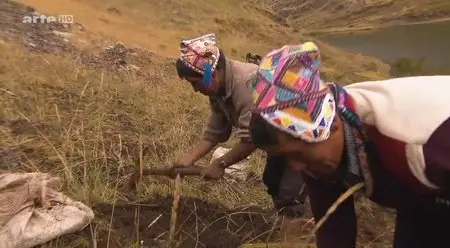 (Arte) La pomme de terre, l'autre trésor inca (2015)