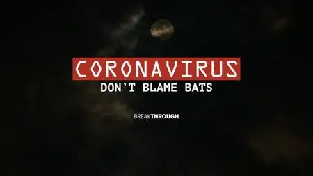 Curiosty TV - Breakthrough: Coronavirus Don't Blame Bats (2020)